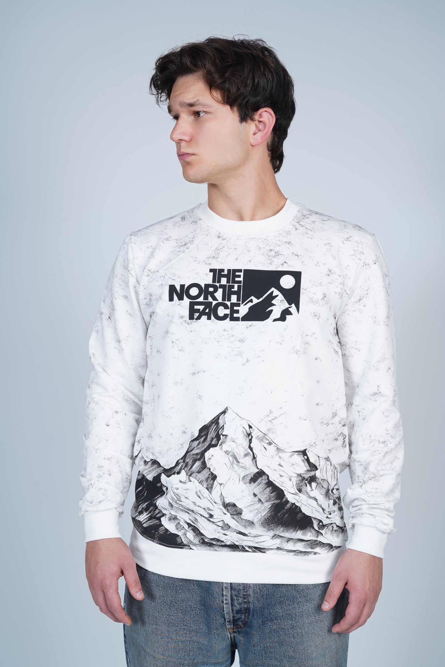The North Face Bisiklet Yaka Dağ Manzaralı Desenli Sweatshirt